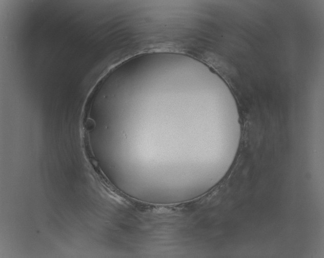 X0000073470290200608181338