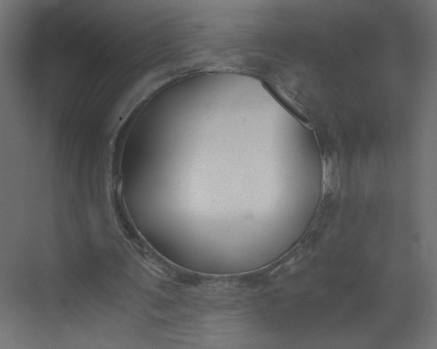 X0000073470291200608181338