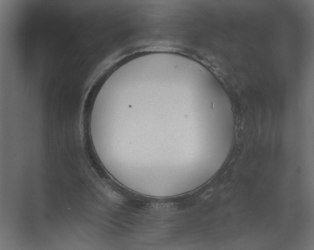 X0000073470296200608181338