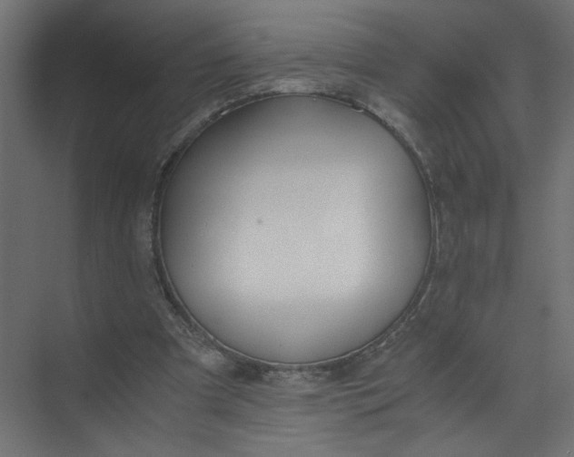 X0000073470297200608181338