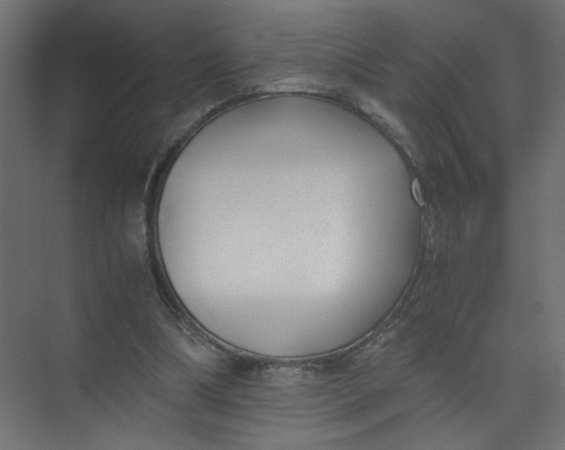 X0000073470298200608181338