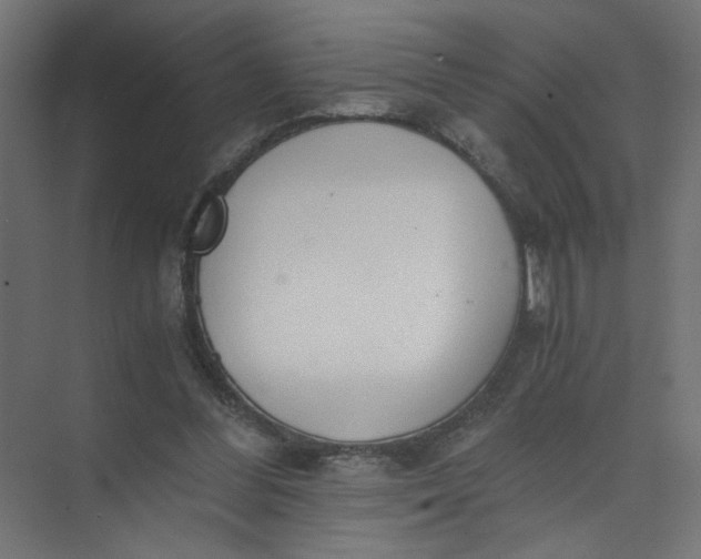 X0000073470300200608181338