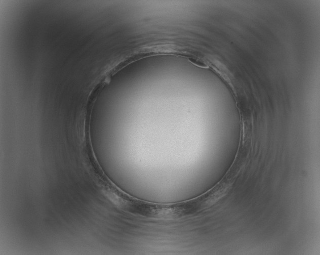 X0000073470301200608181338