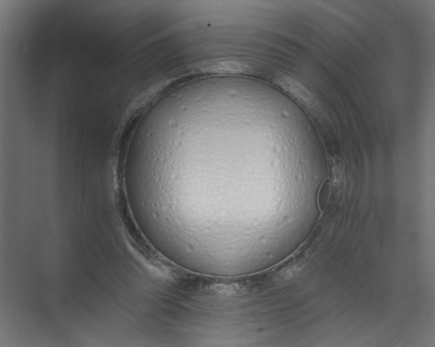X0000073470302200608181338