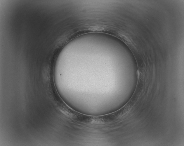 X0000073470303200608181338