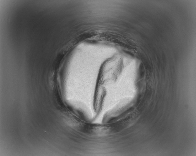 X0000073470319200608181338