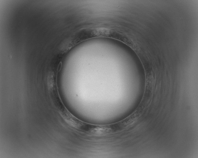 X0000073470323200608181338