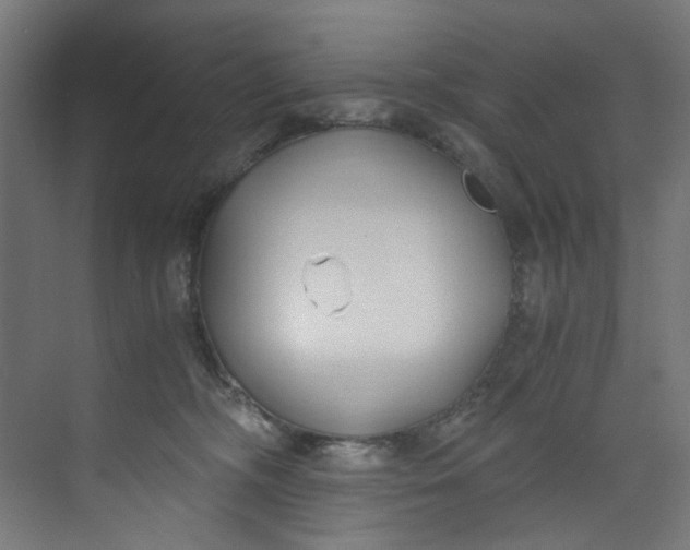 X0000073470326200608181337