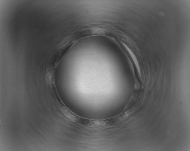 X0000073470329200608181337