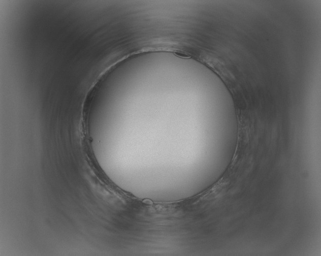 X0000073470338200608181337