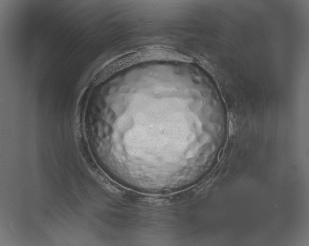X0000073470339200608181337