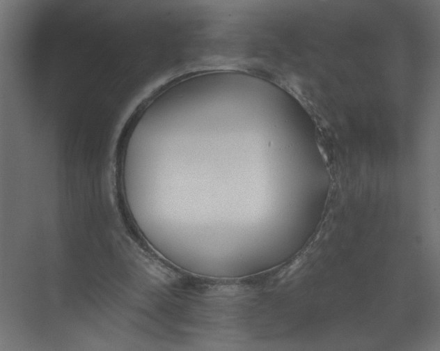 X0000073470342200608181337