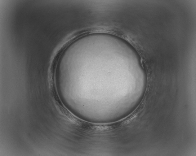 X0000073470343200608181337