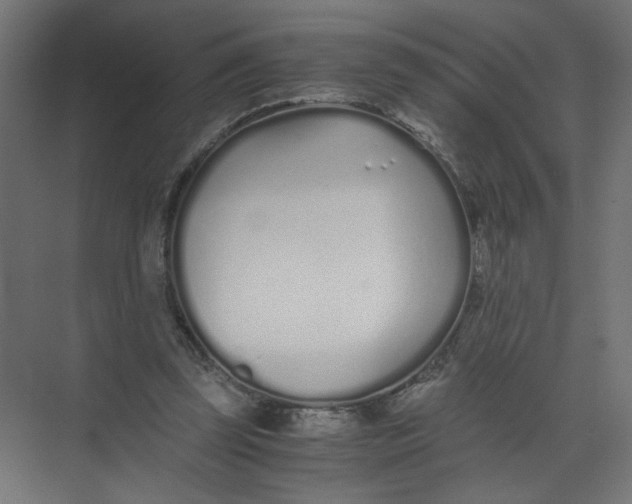 X0000073470347200608181337