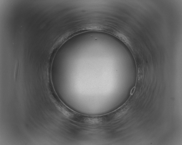 X0000073470349200608181337