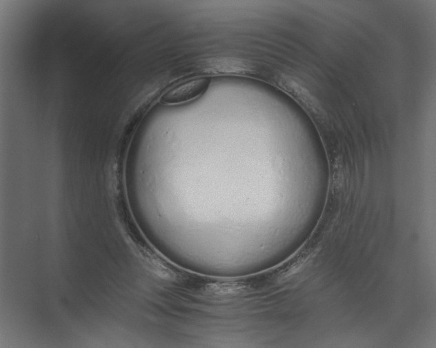 X0000073470351200608181337