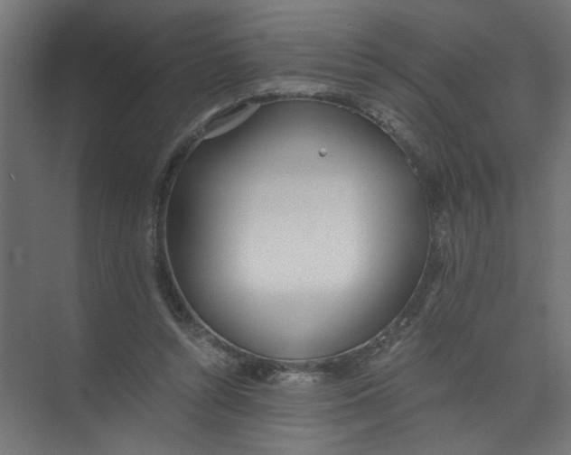 X0000073470352200608181337