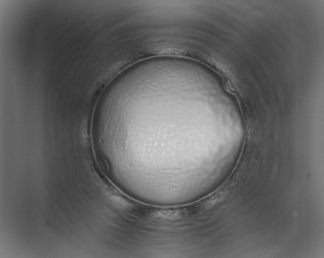 X0000073470353200608181337