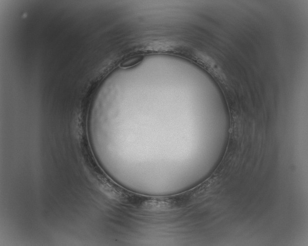 X0000073470354200608181337