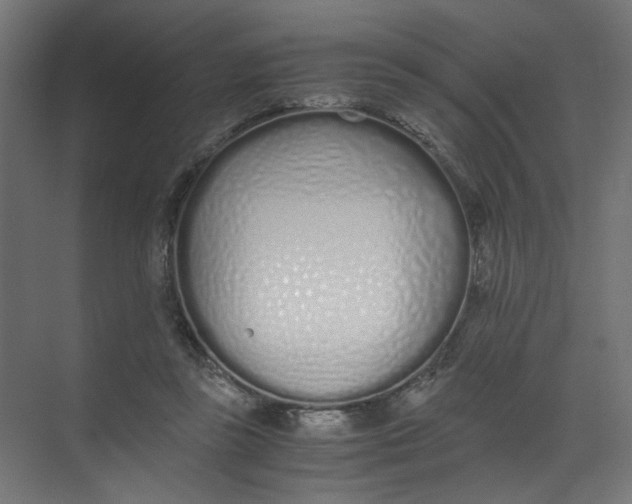 X0000073470355200608181337