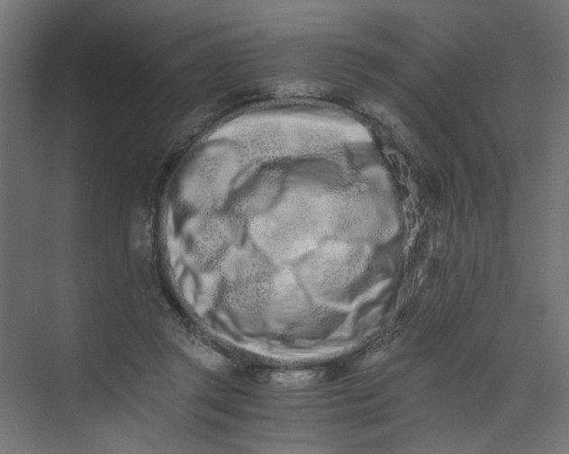 X0000073470357200608181337