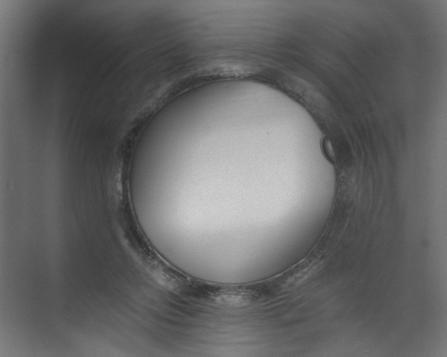 X0000073470358200608181337