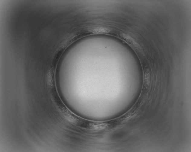 X0000073470359200608181337