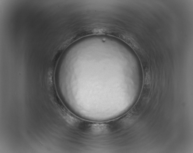 X0000073470363200608181337