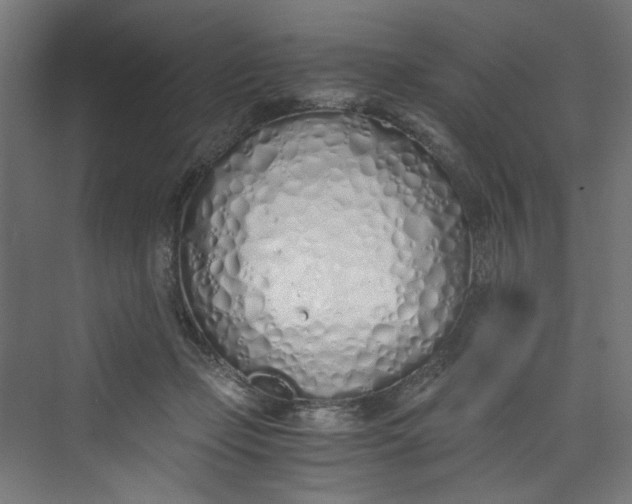 X0000073470365200608181337
