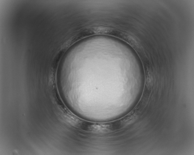 X0000073470367200608181337
