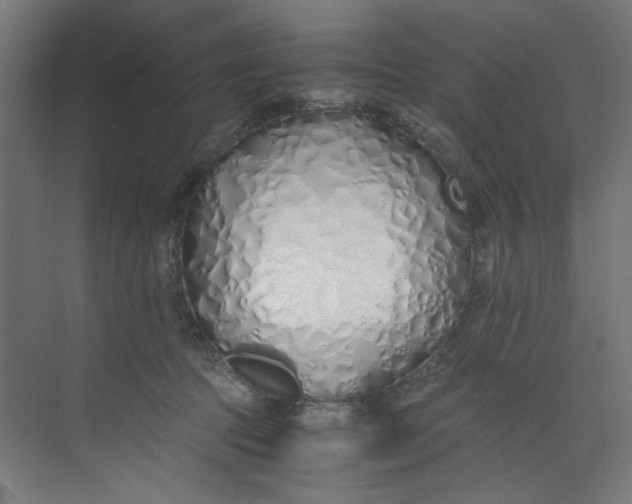 X0000073470369200608181337
