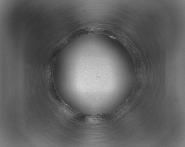 X0000073470372200608181337