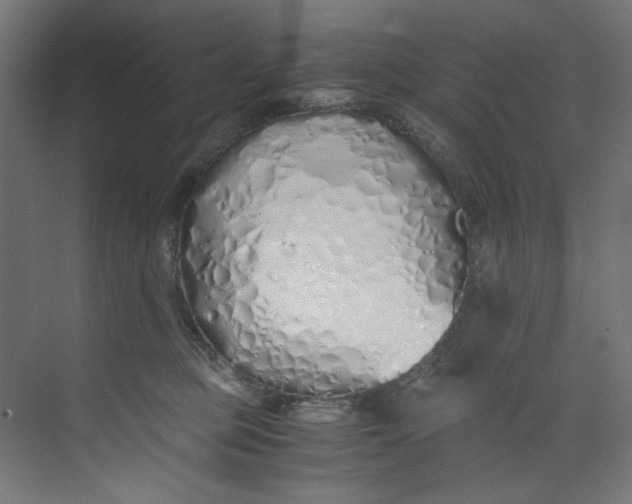 X0000073470373200608181337
