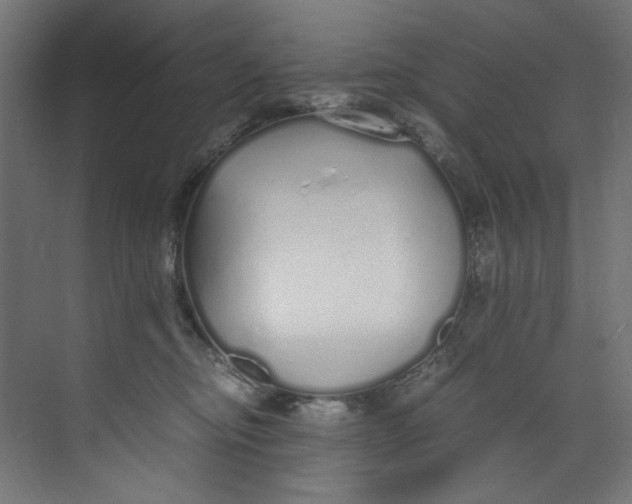 X0000073470374200608181337