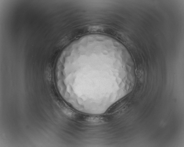 X0000073470375200608181337