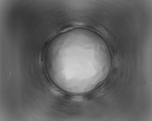 X0000073470377200608181337