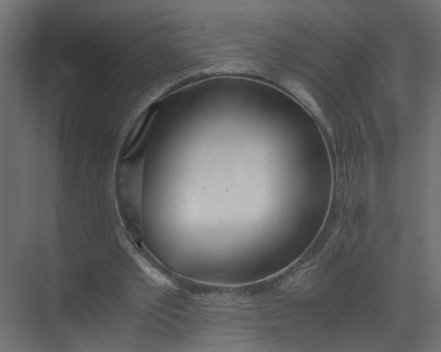 X0000073470389200608181336