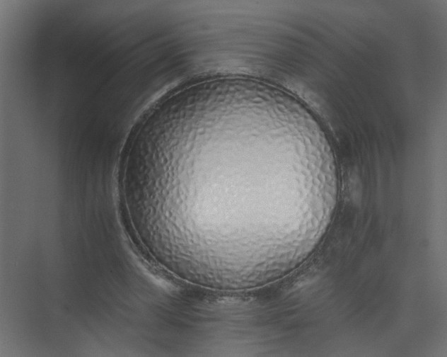 X0000073470390200608181336
