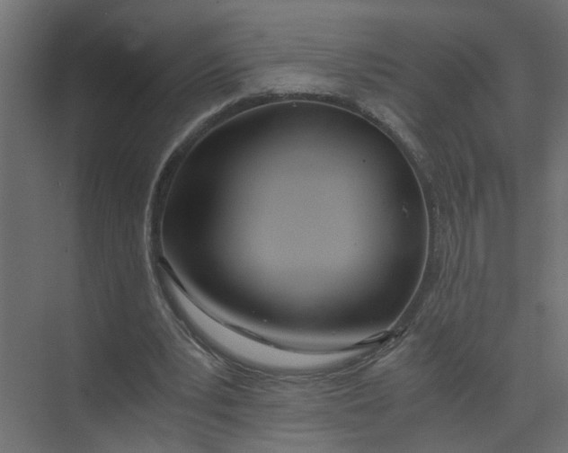 X0000073470391200608181336