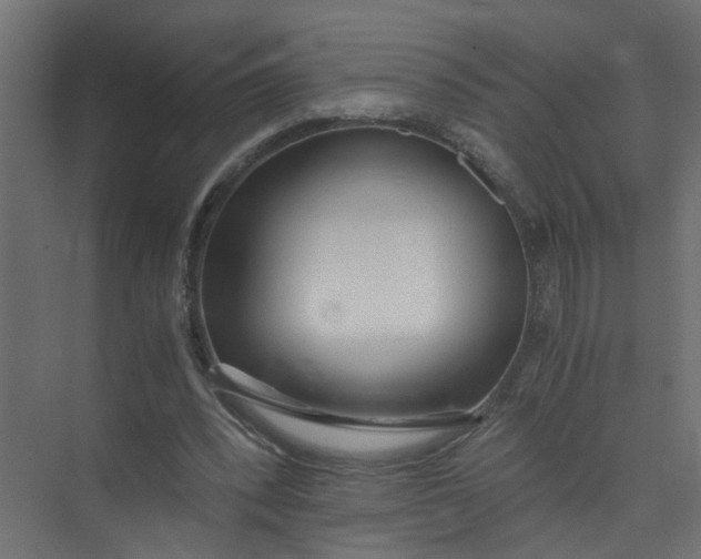 X0000073470392200608181336