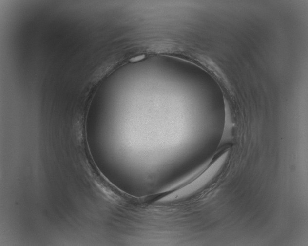 X0000073470393200608181336