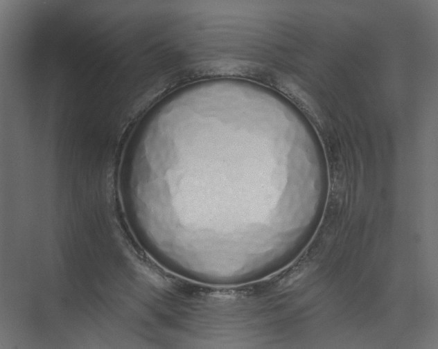 X0000073470394200608181336