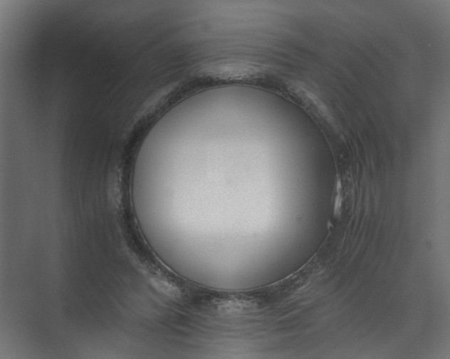 X0000073470400200608181336