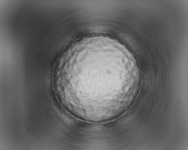 X0000073470402200608181336