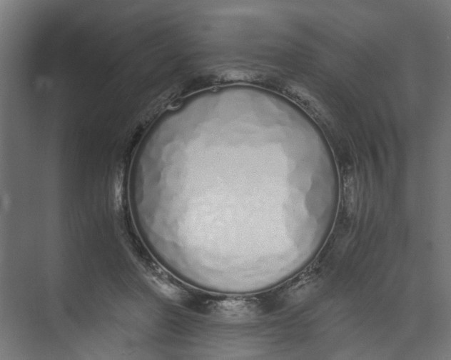 X0000073470406200608181336