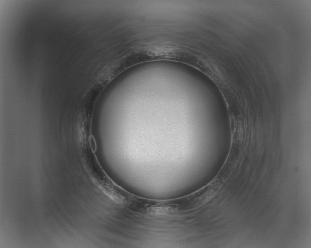 X0000073470408200608181336