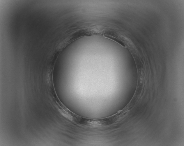 X0000073470409200608181336
