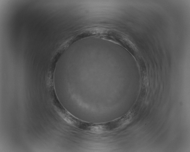 X0000073470411200608181336