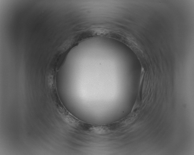 X0000073470417200608181336