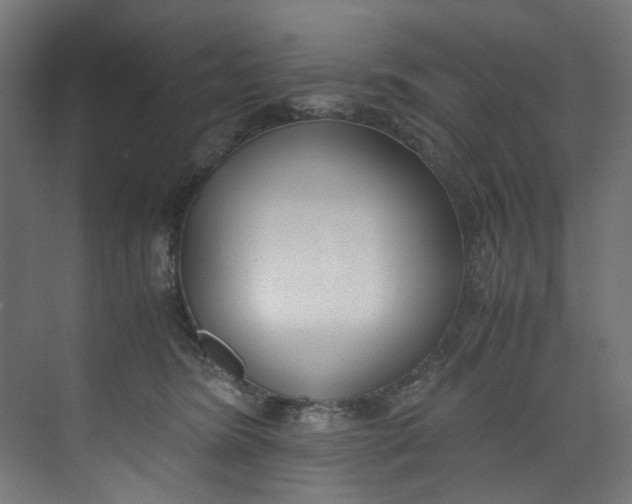 X0000073470420200608181336